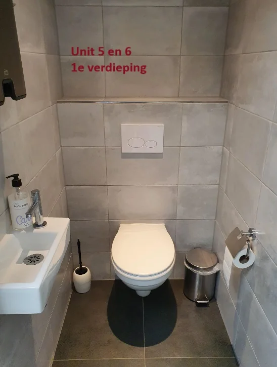 Toilet met wandcloset, fonteintje en grijze tegelwanden in Unit 5 en 6 op de eerste verdieping.