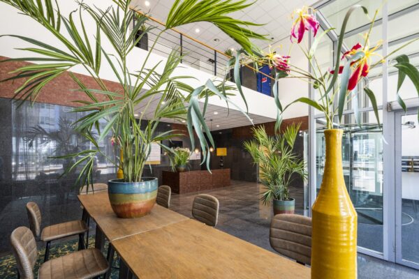 Moderne en lichte entreehal van een kantoorpand aan het Bos en Lommerplein, met veel planten en een houten zittafel.