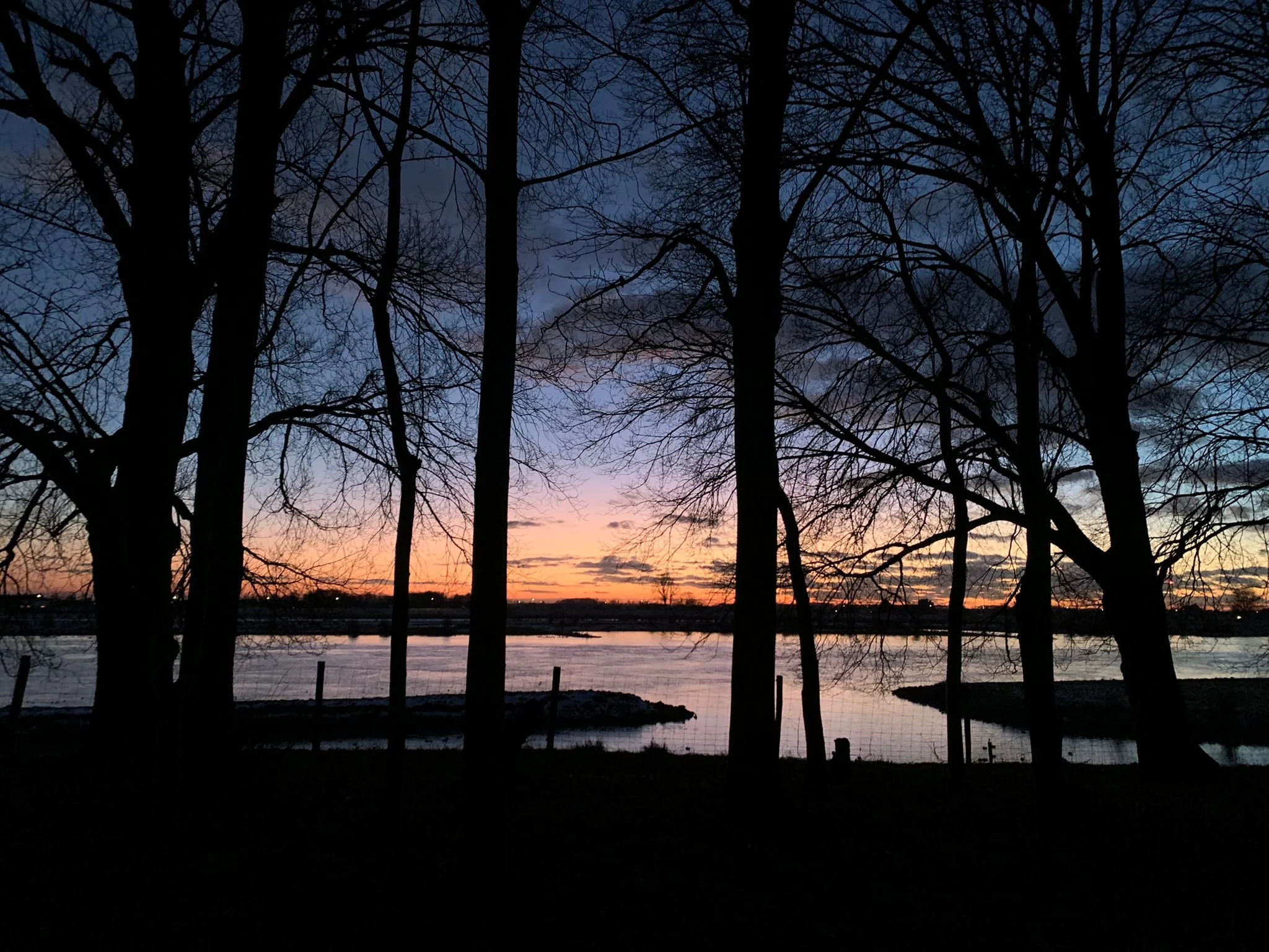 Zonsondergang bij de Lekdijk, gezien tussen silhouetten van kale bomen langs het water.