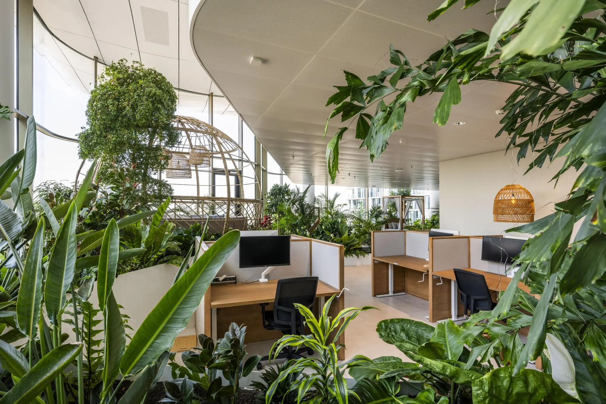Groen ingericht kantoorgebouw op het Stadsplateau met werkplekken omringd door veel planten en natuurlijke materialen.