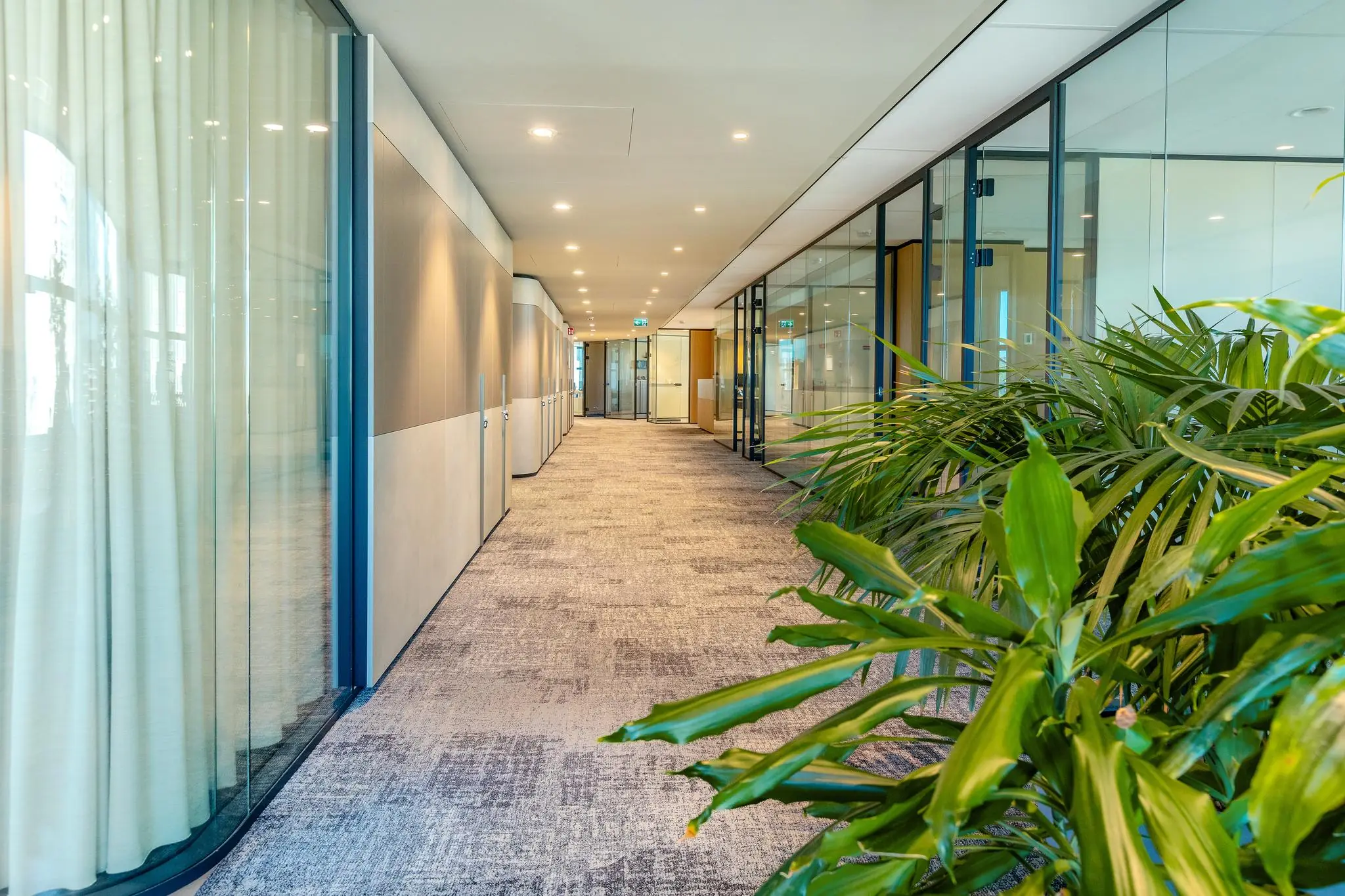 Moderne kantoorgang in gebouw Weena met glazen wanden, tapijtvloer en groene planten.