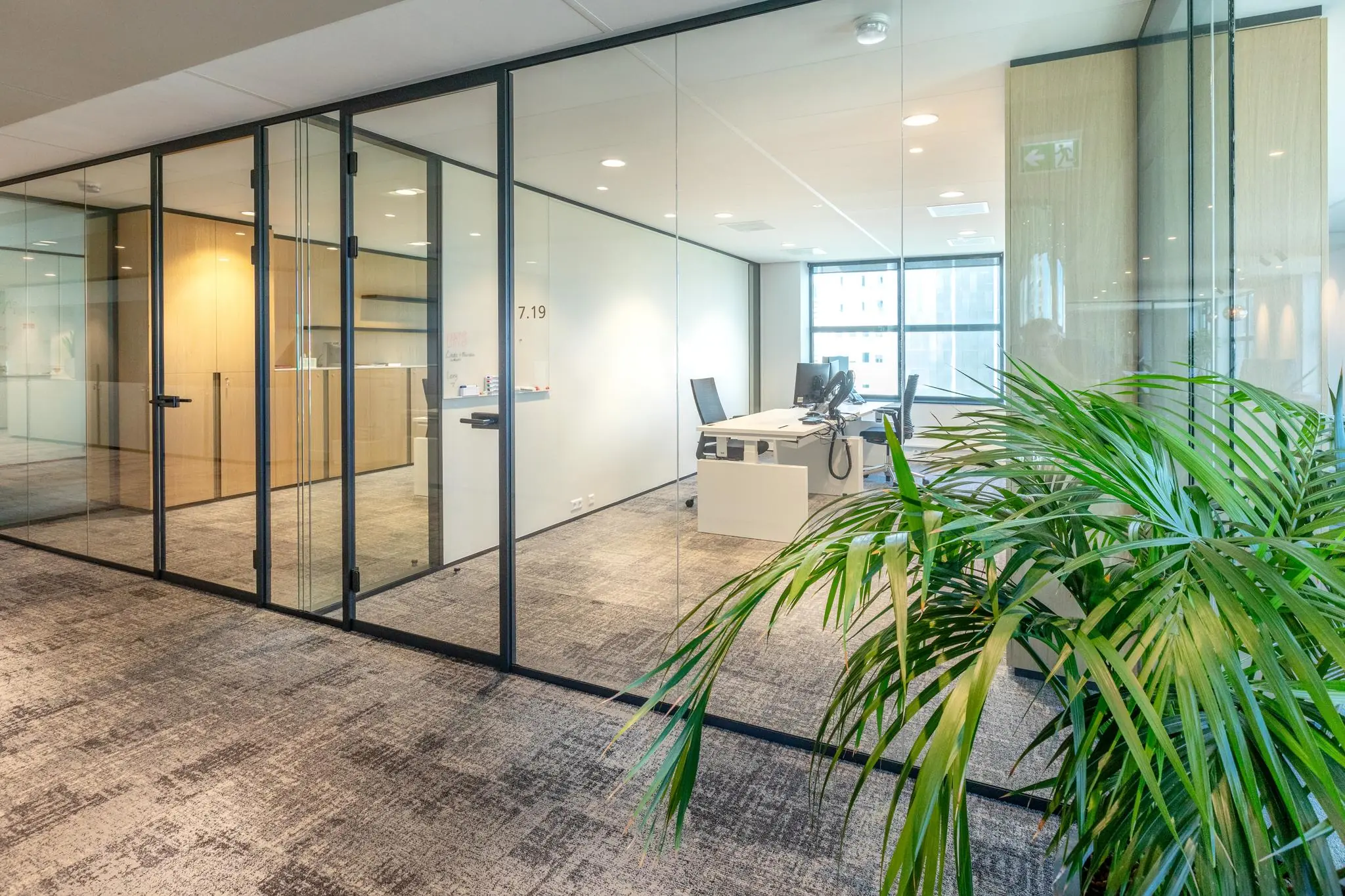 Moderne glazen kantoorkamer aan het Weena met bureaus, stoelen en een grote groene plant op de voorgrond.