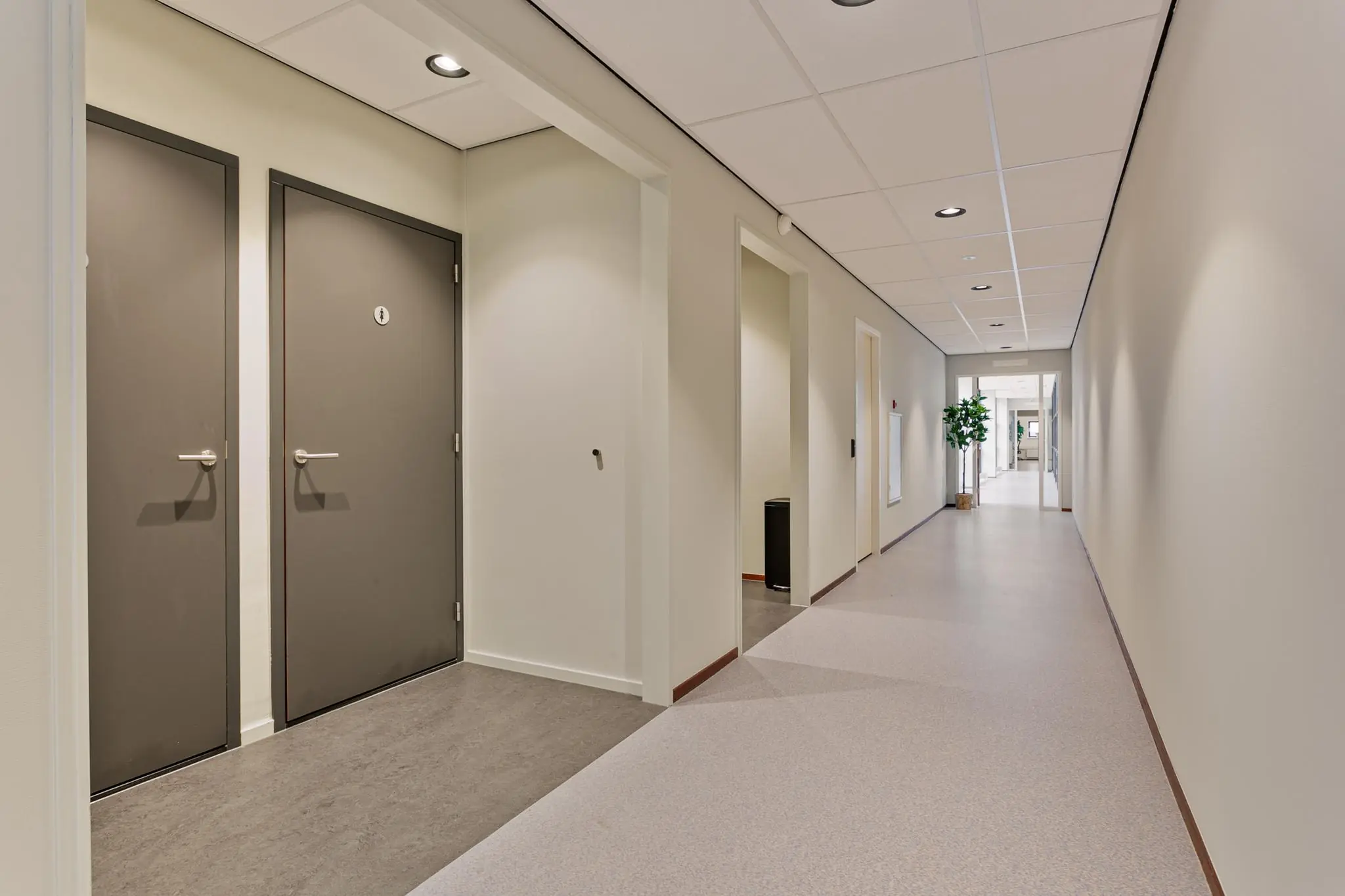 Lichte, moderne gang met grijze deuren, inbouwverlichting en een plant aan het einde van de gang.