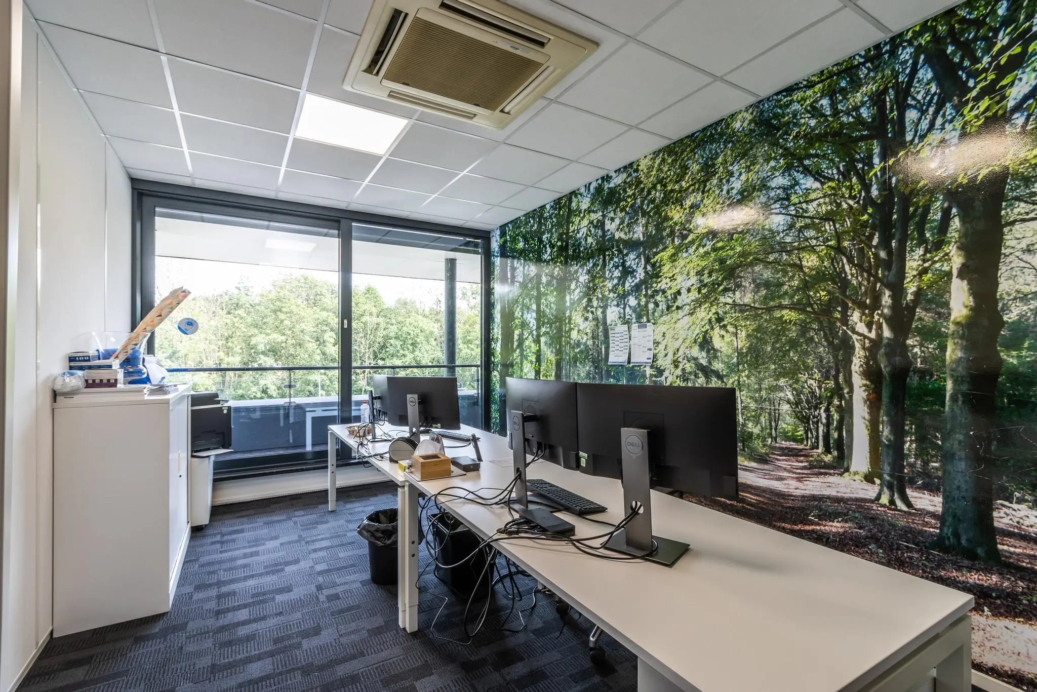 Modern kantoor met werkplekken en een grote muurprint van een bospad bij daglicht.