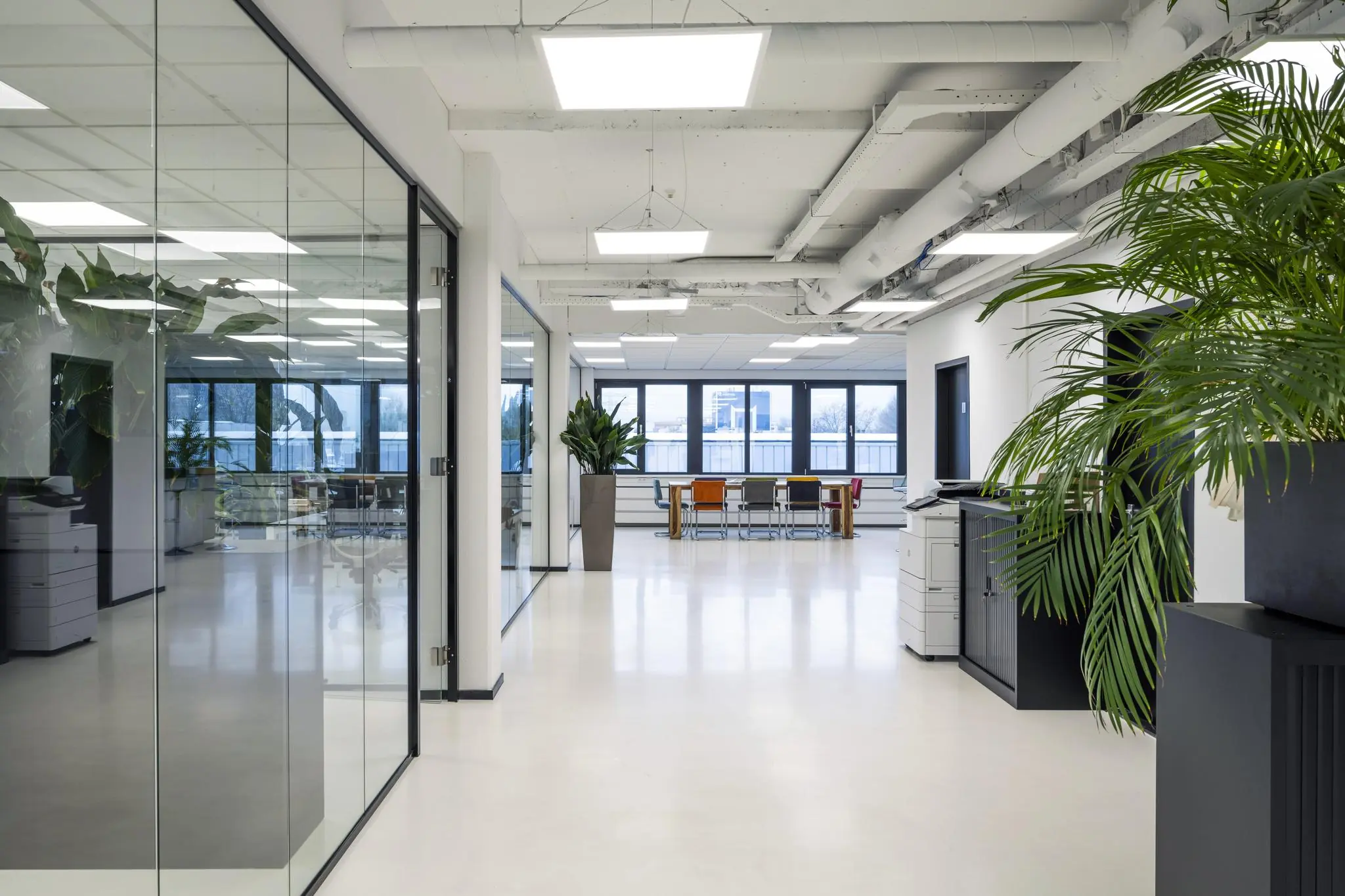 Moderne kantoorruimte aan de Savannahweg met glazen wanden, kantoorplanten en vergadertafel bij het raam.