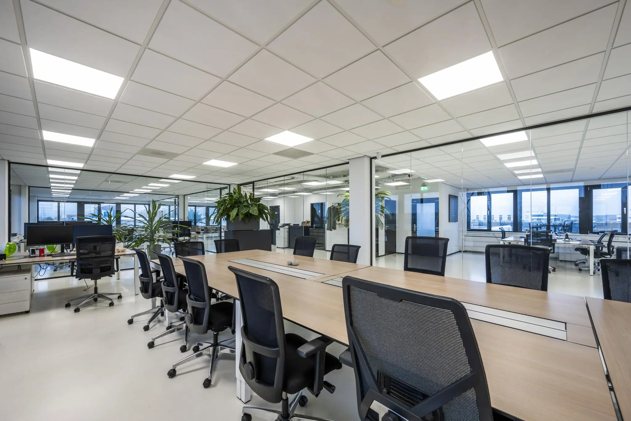 Moderne, ruime kantooretage aan de Savannahweg met glazen wanden, bureaus, bureaustoelen en groene planten.