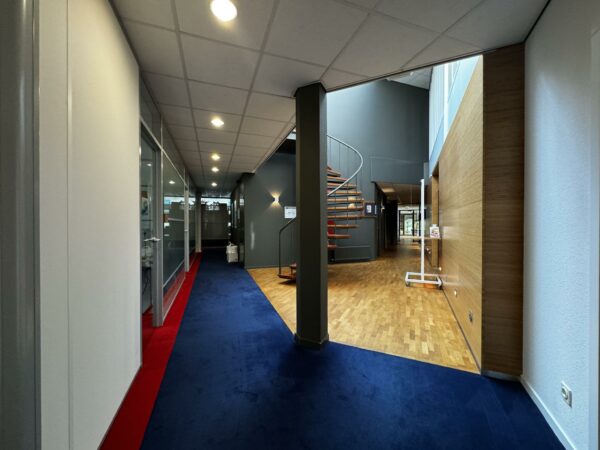 Moderne kantoorruimte met blauwe tapijtvloer, glazen kantoorwanden en een houten wenteltrap in het midden.