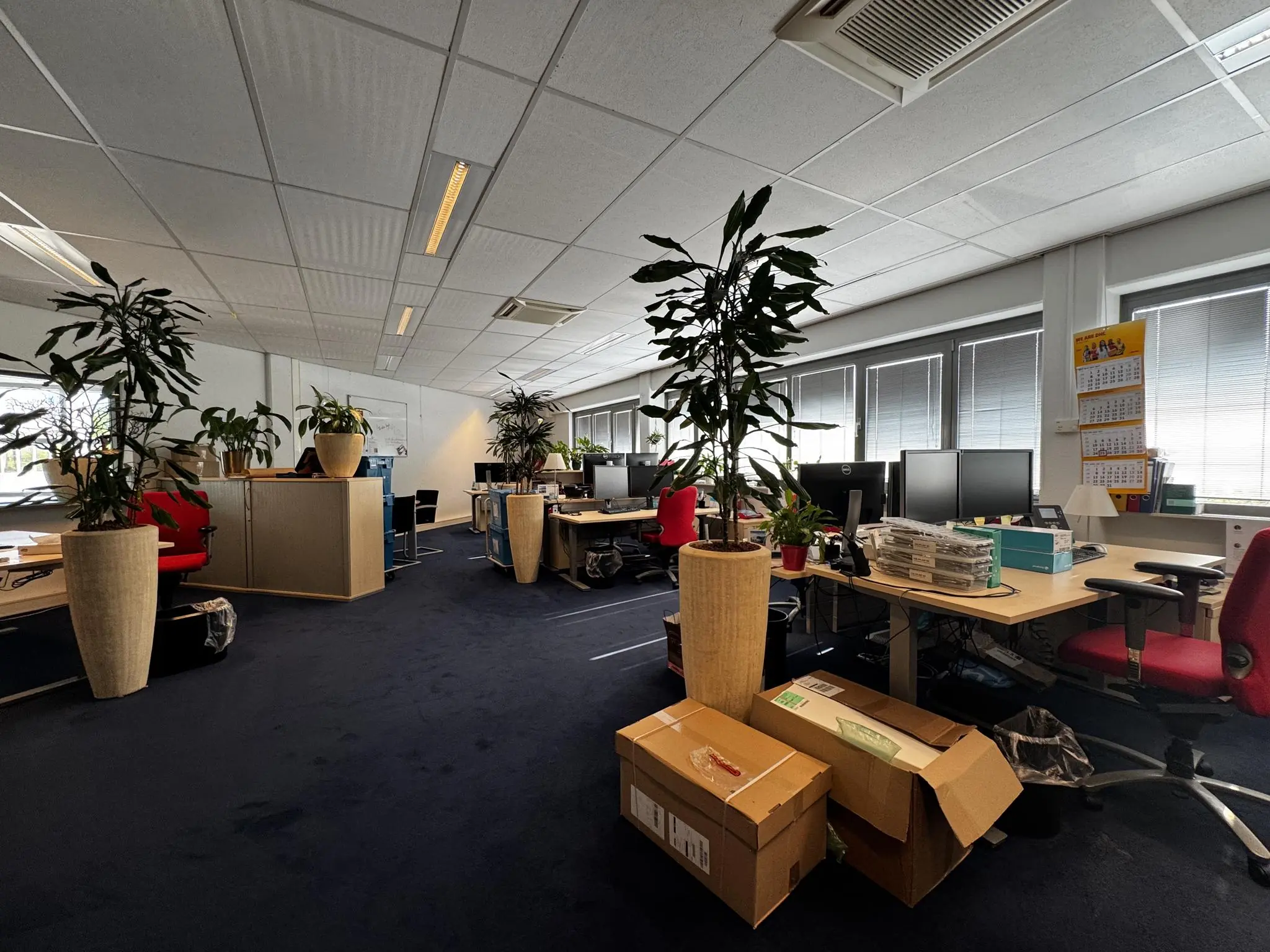 Open kantoorruimte aan de Softwareweg met bureaus, computerschermen, planten en dozen op de vloer.