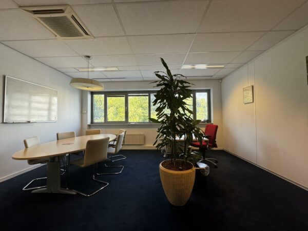 Vergaderruimte met ovale tafel, zes stoelen, een groot raam, een rode bureaustoel, een whiteboard en een grote kamerplant op een donkerblauwe vloer.