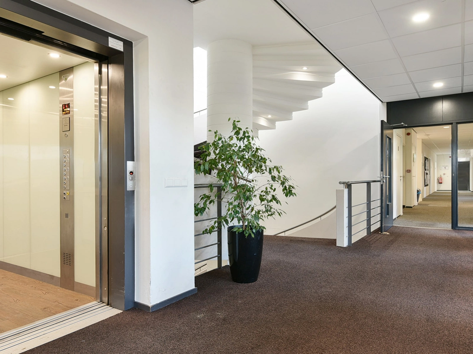 In een modern kantoorpand is een open lift te zien naast een wenteltrap met een grote plant op het tussenbordes.