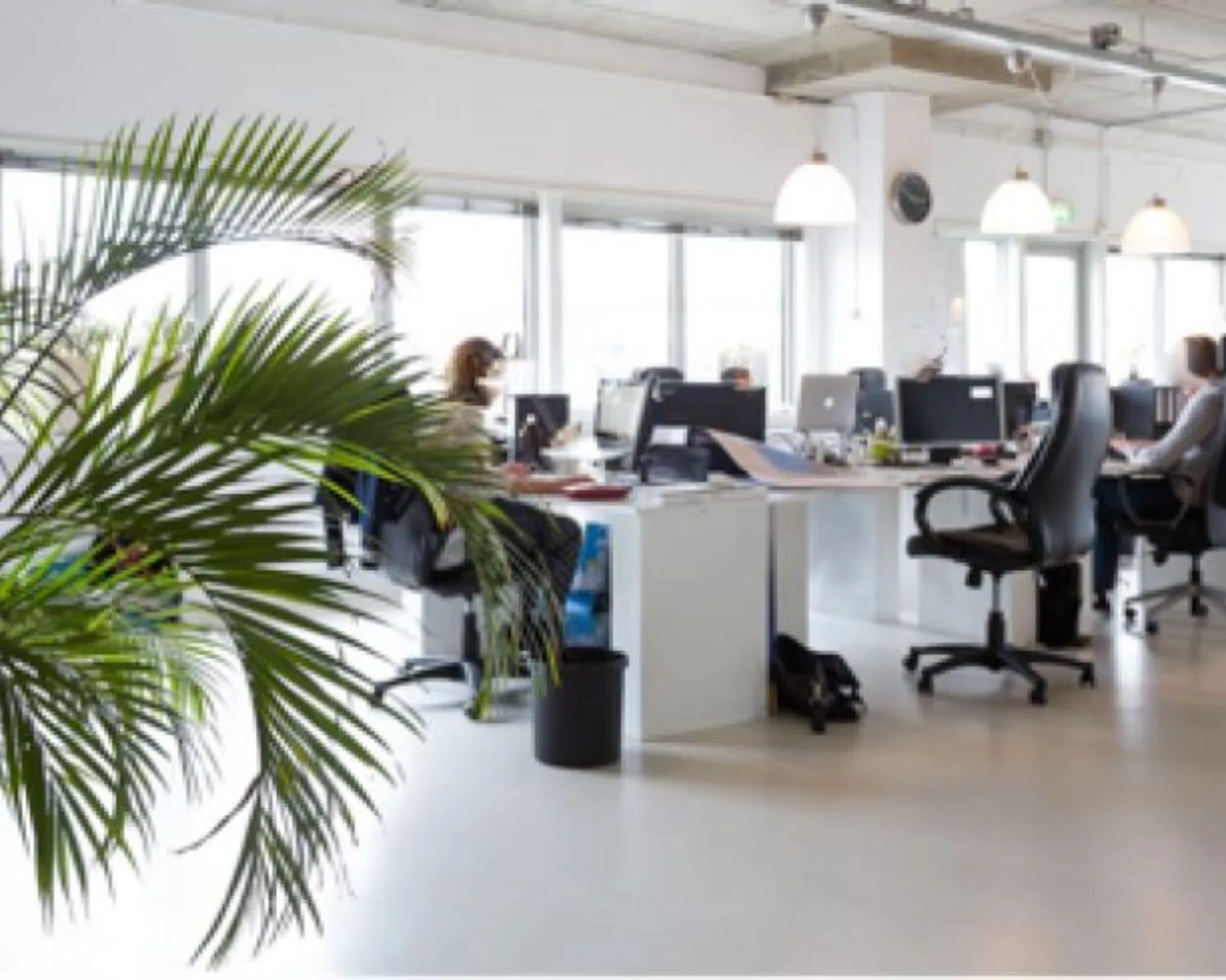 Moderne en lichte kantoorruimte met werkplekken en grote ramen aan de Anthony Fokkerweg 21 in Amsterdam.