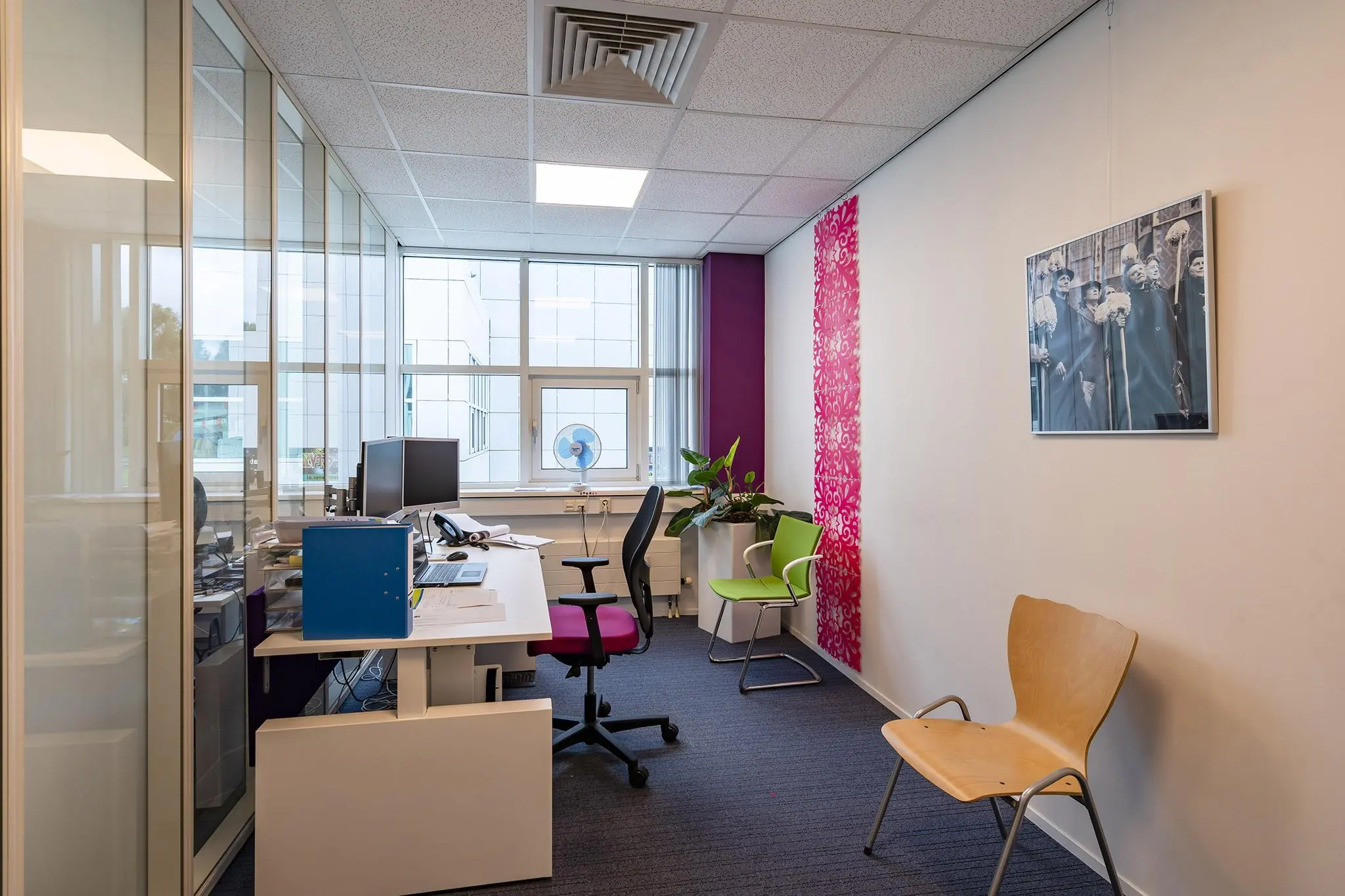Modern kantoor aan de Rhijnspoor met bureau, stoelen, computers, planten en kleurrijke wanddecoratie.
