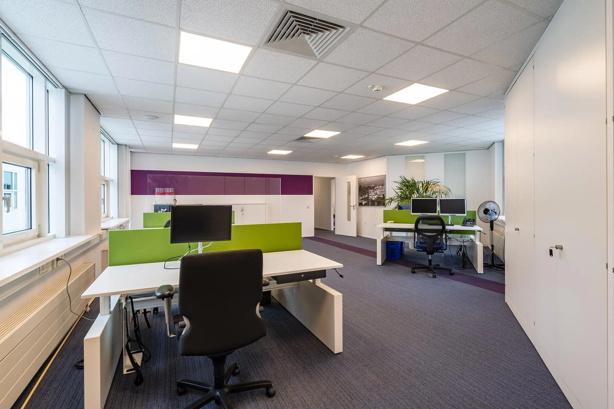 Modern en licht open kantoor met werkplekken, groene scheidingspanelen en paarse accenten aan de Rhijnspoor.