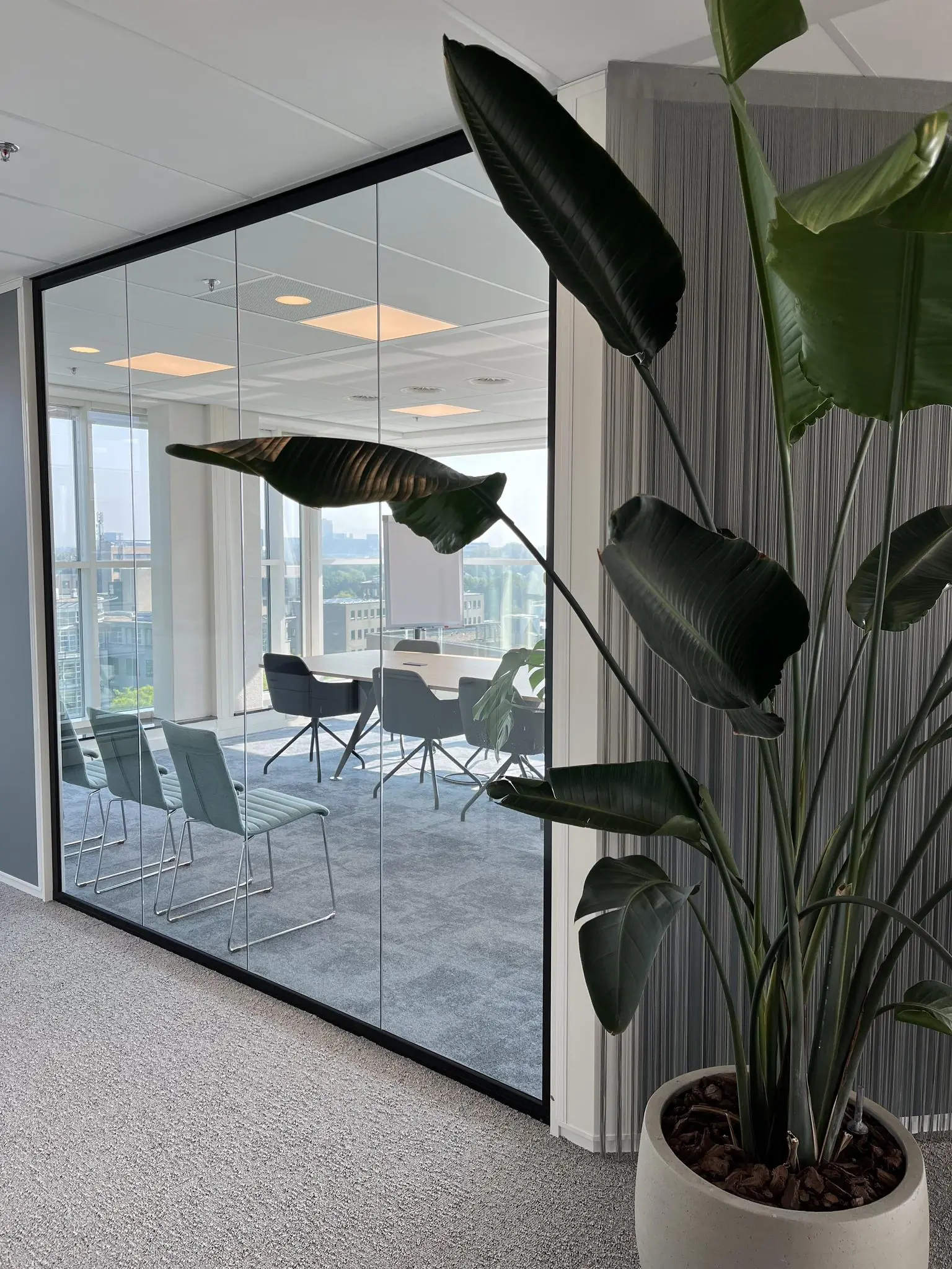 Moderne vergaderruimte aan de Newtonlaan met glazen wand en grote kamerplant op de voorgrond.