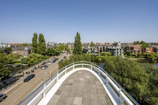 Uitzicht vanaf een dakterras op de Apollolaan in Amsterdam met omliggende woningen, water en groen.