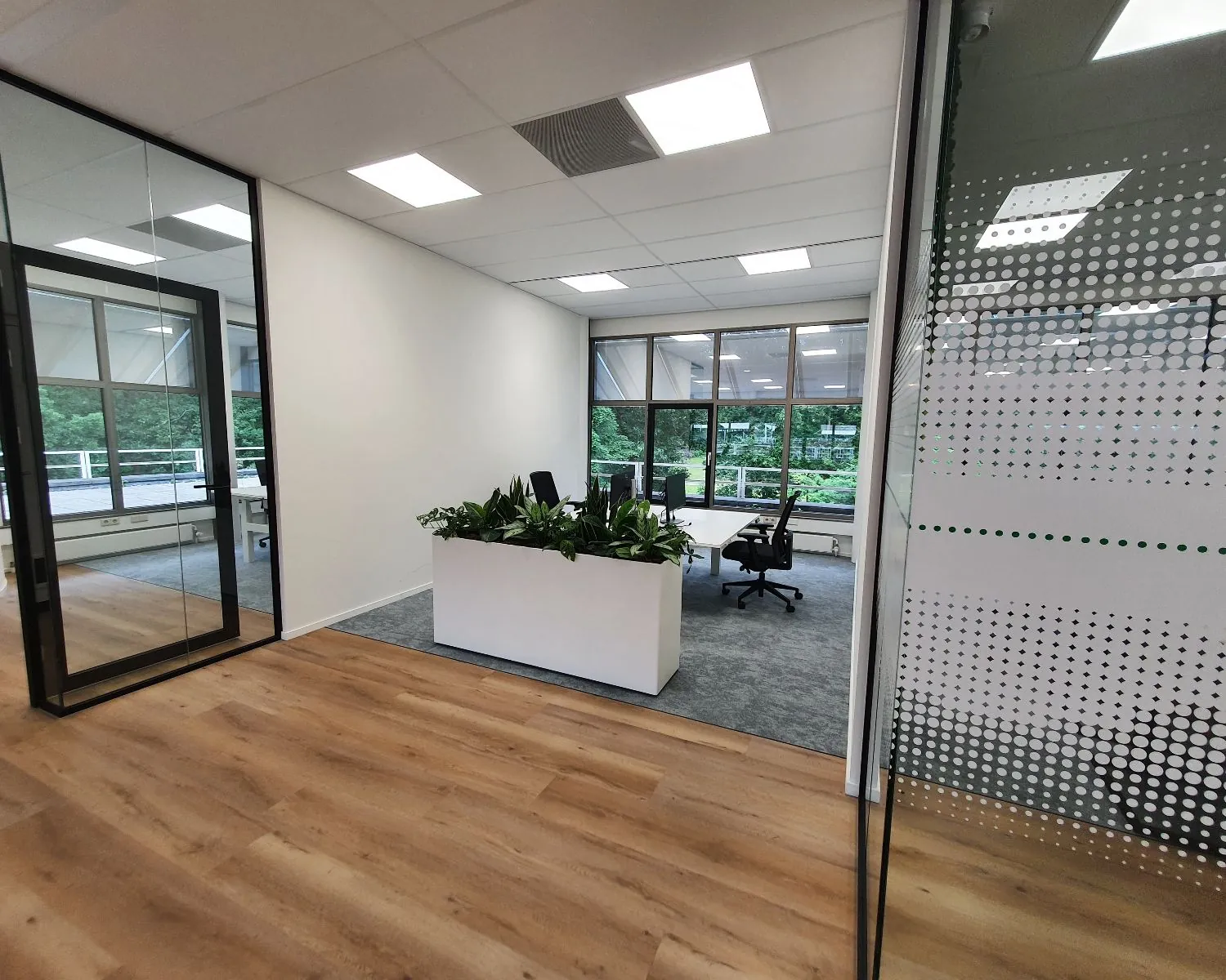 Moderne kantoorruimte met glazen wanden, een houten vloer en een bureau met planten in het midden.
