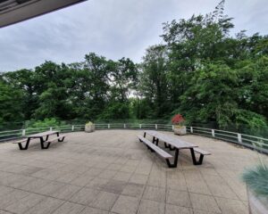 Twee picknicktafels op een ruim terras met uitzicht op een bosrijke omgeving.