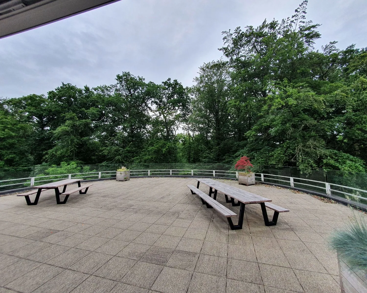 Twee picknicktafels op een ruim terras met uitzicht op een bosrijke omgeving.