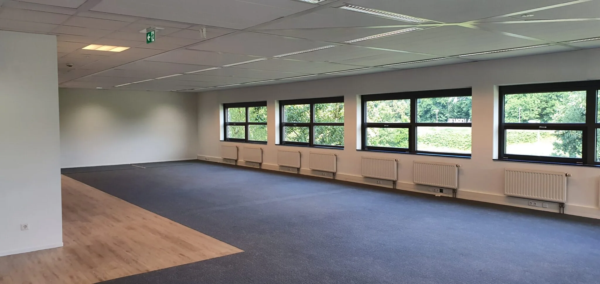 Lichte, lege kantoorruimte met blauwe vloerbedekking, houten looppad en grote ramen met uitzicht op groen.