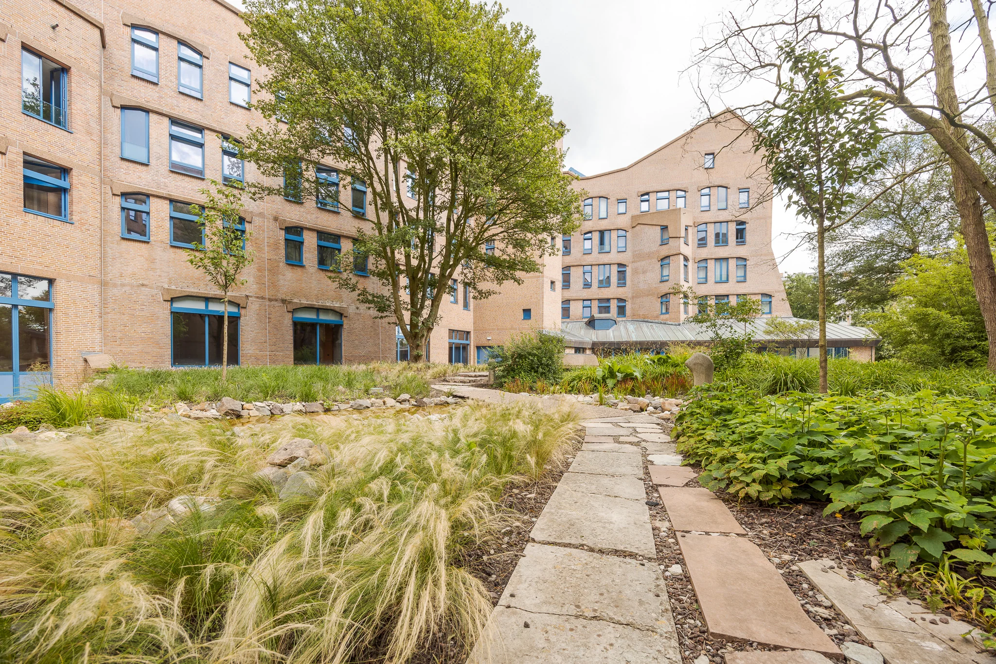 Binnenplaats van het Zandkasteel in Amsterdam met een kronkelend tuinpad, omringd door groen en het karakteristieke bakstenen gebouw met blauwe kozijnen.