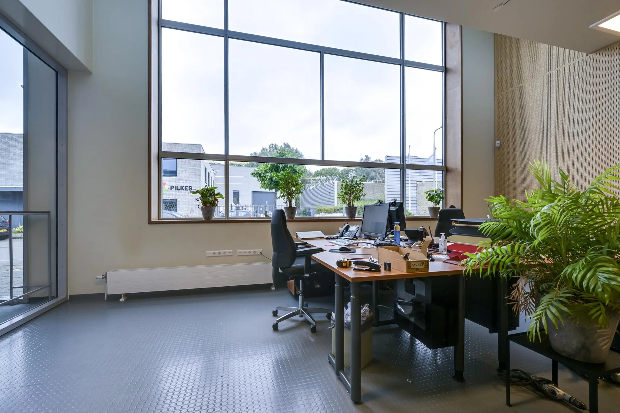 Modern kantoor met grote ramen aan de Tennesseedreef, ingericht met bureaus, computerschermen en veel groene planten.