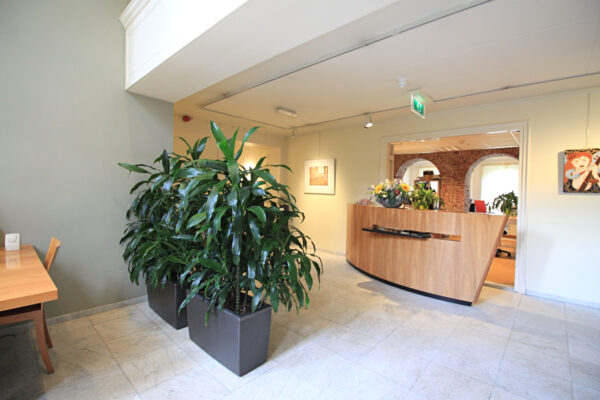 Moderne receptieruimte aan de Museumlaan met een houten balie, grote kamerplanten en kunst aan de muren.