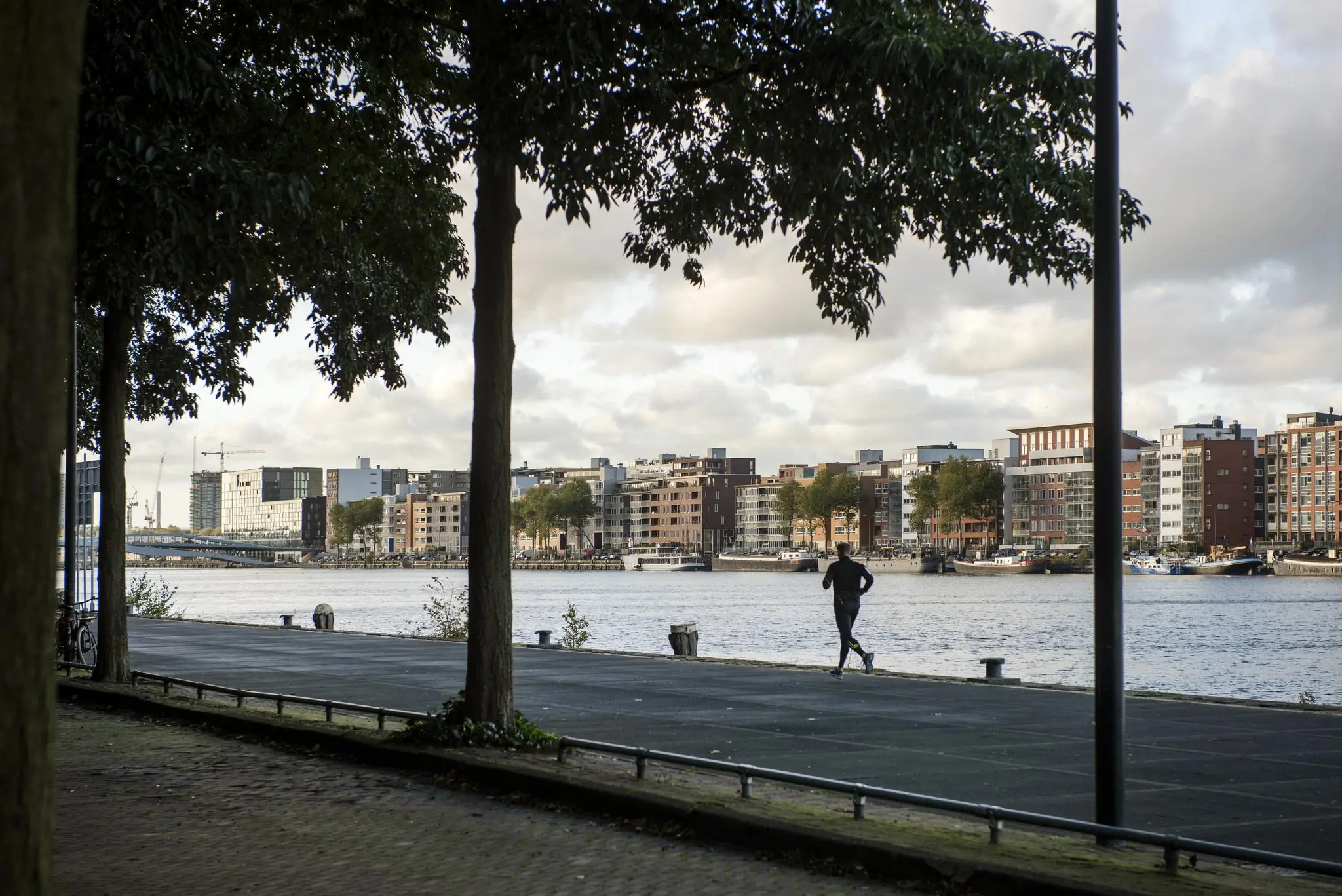 Jogger rent langs het water in Rietlandpark met uitzicht op moderne woongebouwen aan de overkant.