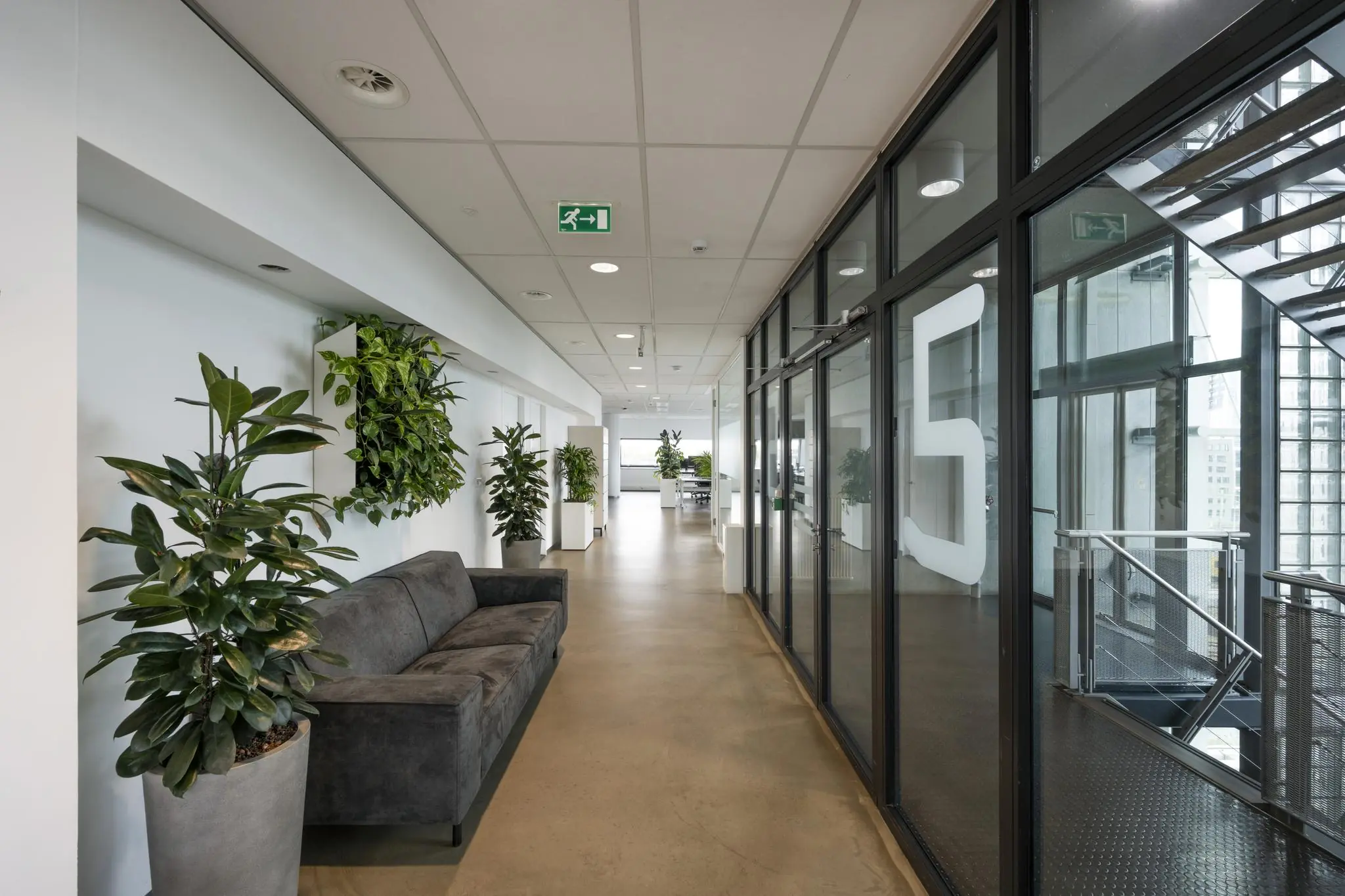 Moderne kantoorhal in Rietlandpark met glazen wanden, kamerplanten en een grijze zitbank.