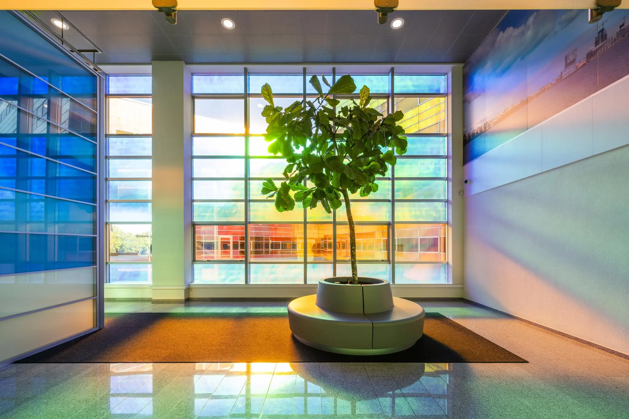 Lichtovergoten entreehal aan de Willem Dreesweg met een grote plant en gekleurde glazen wand.