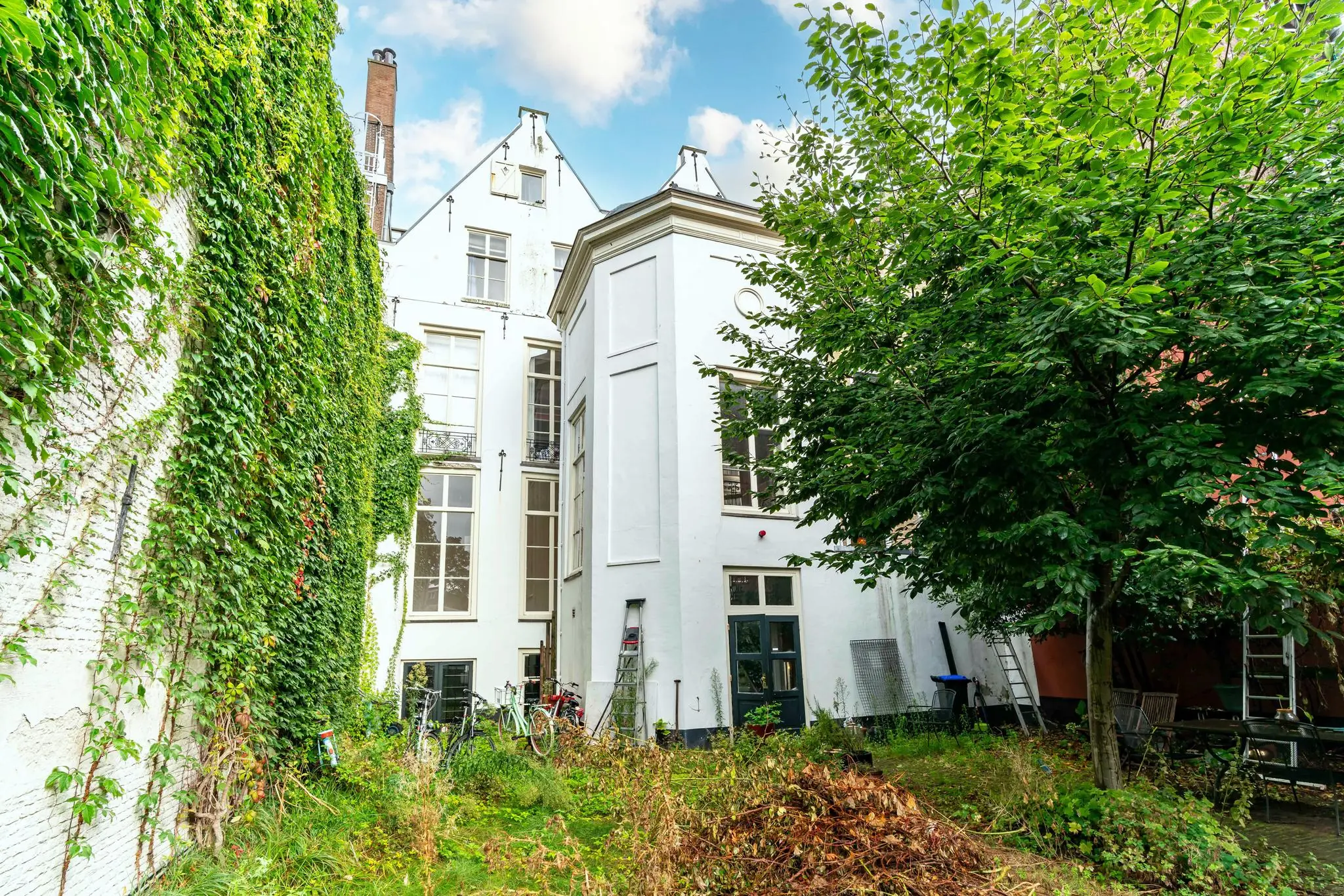Achtertuin van een wit herenhuis aan de Prinsegracht met begroeide muren, fietsen en een grote boom.