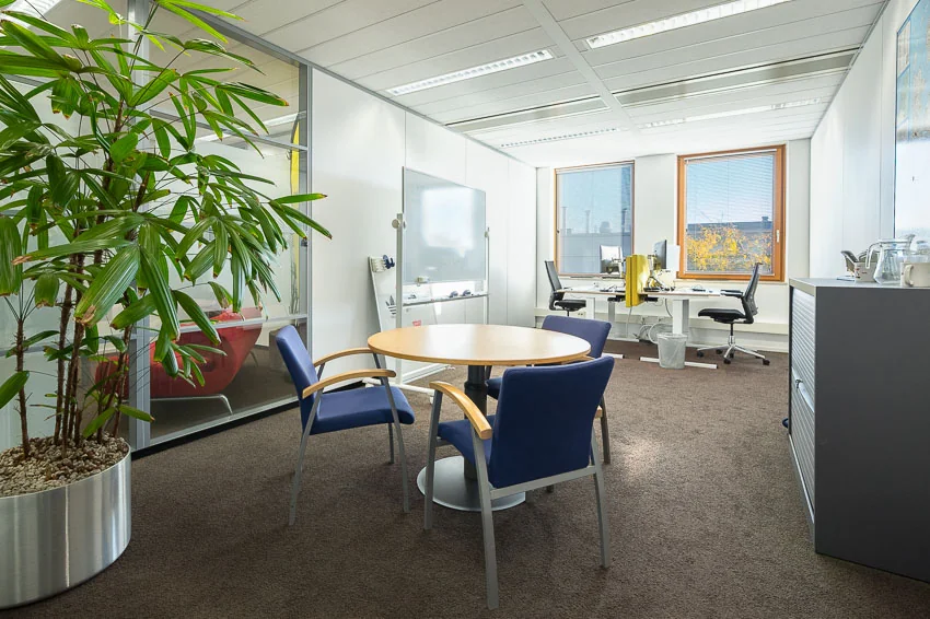 Moderne kantoorruimte in Trondheim met een vergadertafel, bureaus, grote ramen en een opvallende kamerplant.