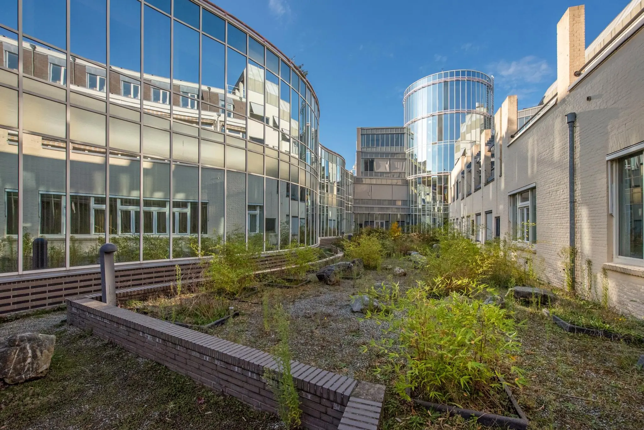 Binnenplaats met planten tussen moderne en historische gebouwen aan de Doelenstraat in zonlicht.