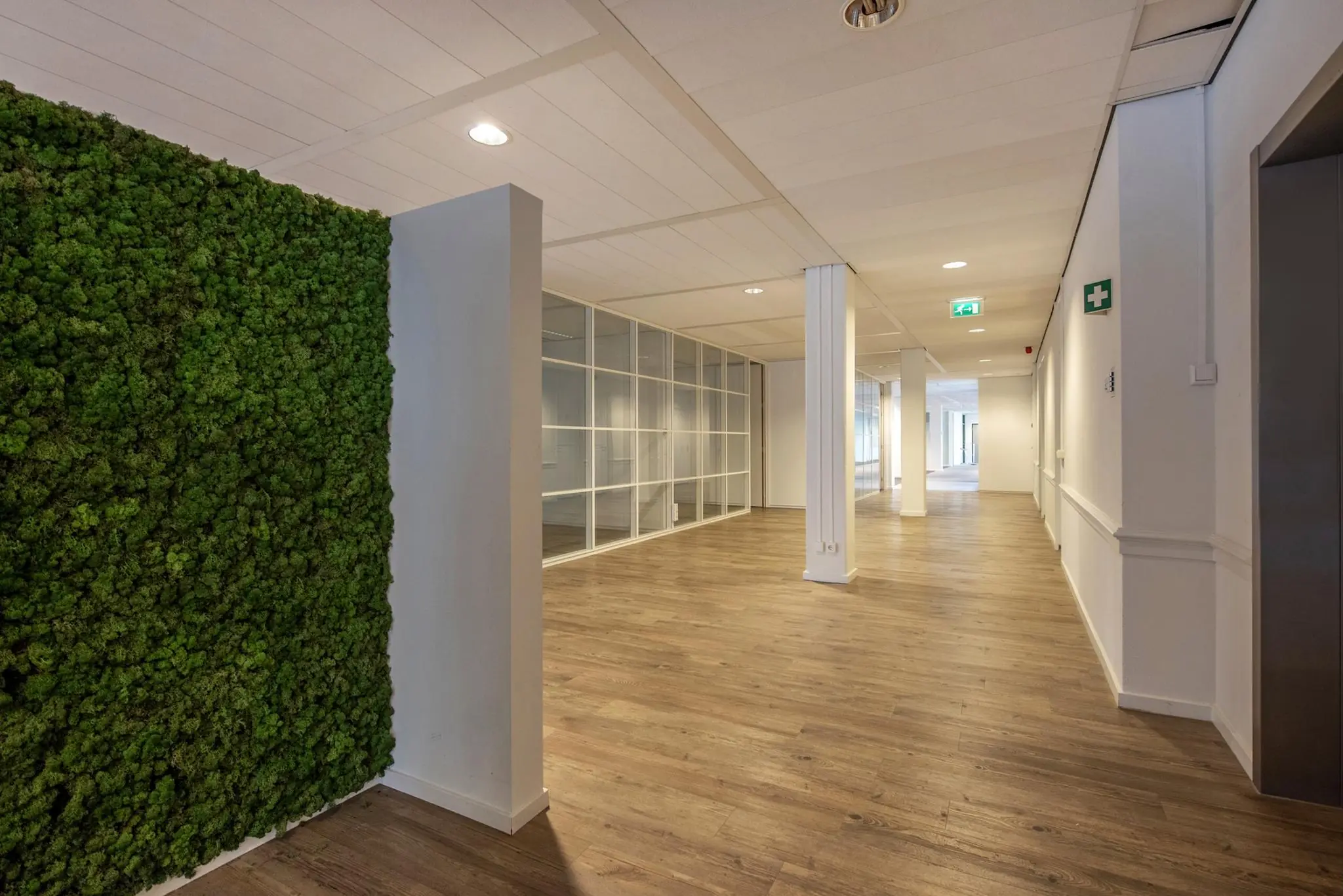 Moderne kantoorruimte aan de Doelenstraat met houten vloer, moswand en glazen scheidingswanden.