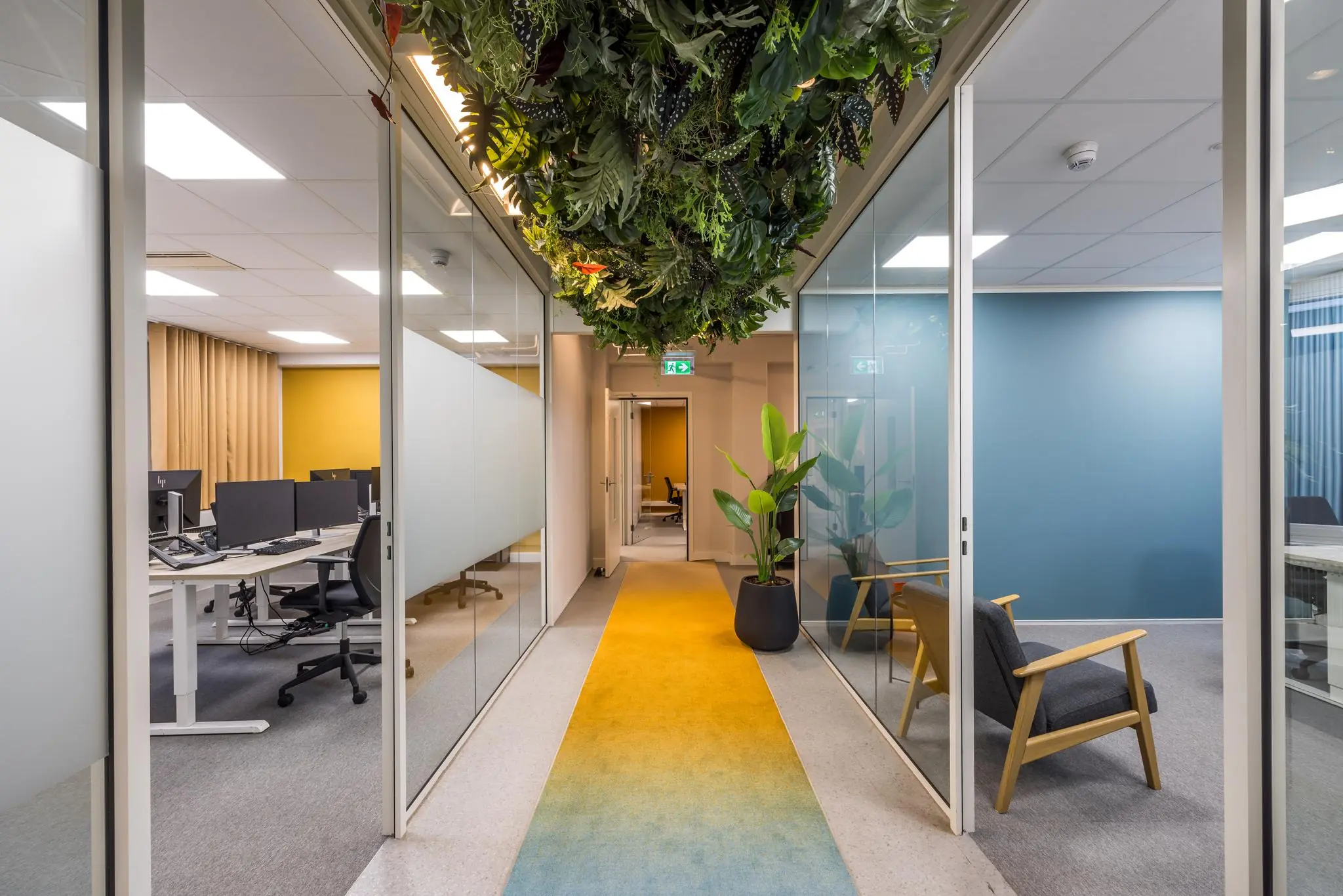 Moderne kantoorruimte aan de Atoomweg met glazen wanden, kleurrijk vloerkleed en hangende planten aan het plafond.