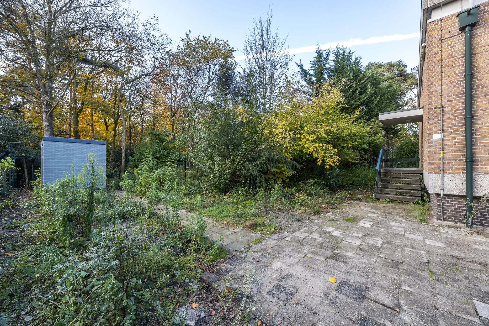 Achtertuin van een woning aan de Rembrandtlaan met betegeld terras, overwoekerde paden en omringende bomen.
