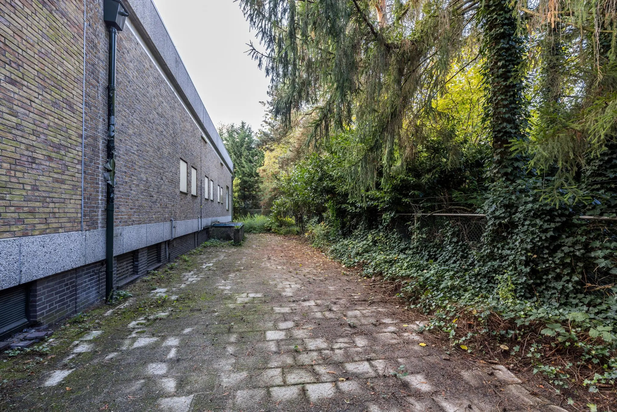 Bestraat zijpad naast een bakstenen gebouw aan de Rembrandtlaan, omgeven door dichtbegroeide bomen en struiken.