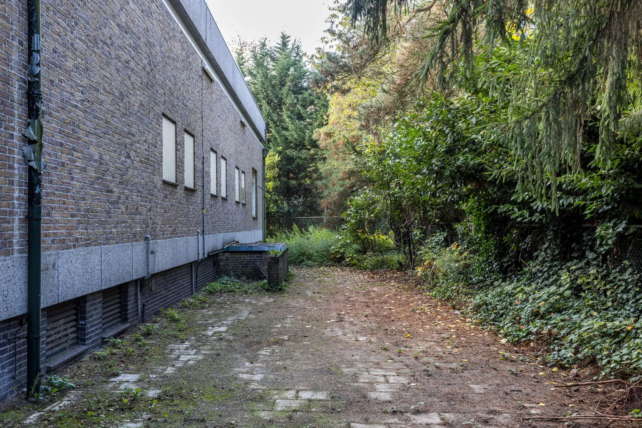 Verlaten zijpad met betegelde ondergrond naast een pand aan de Rembrandtlaan, omgeven door dichtbegroeide struiken en bomen.
