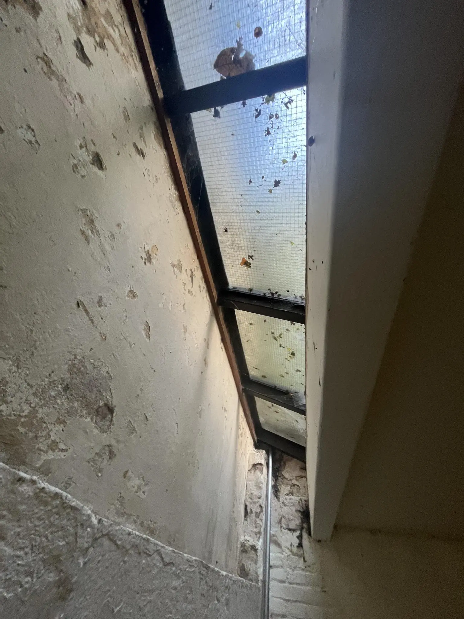 Verweerde muur onder een smal glazen dakraam met vuil en bladeren aan de Nobeldwarsstraat.