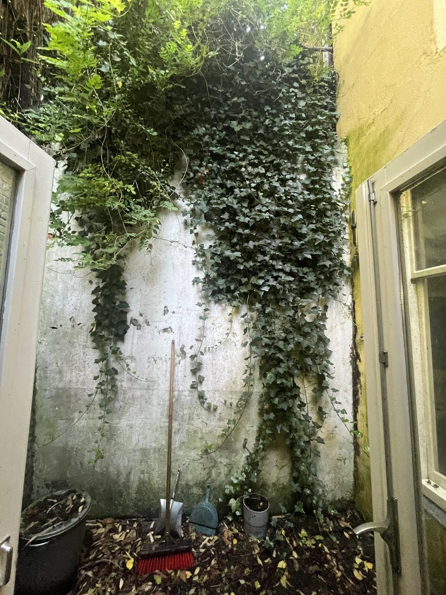 Kleine binnentuin aan de Nobeldwarsstraat met klimop tegen een muur en tuingereedschap op de grond.