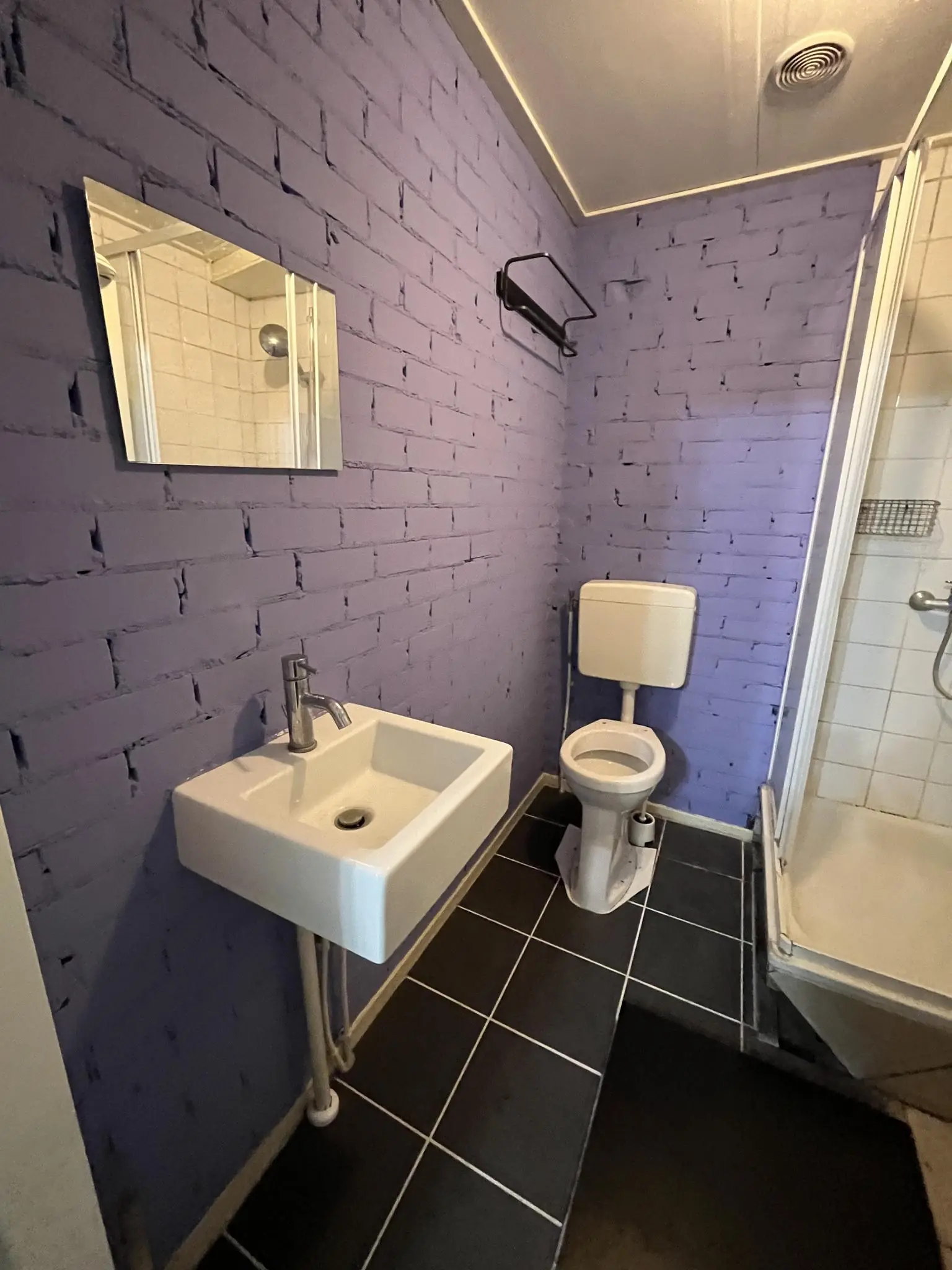 Kleine badkamer in de Nobeldwarsstraat met paarse bakstenen muur, witte wastafel, toilet en douchecabine.