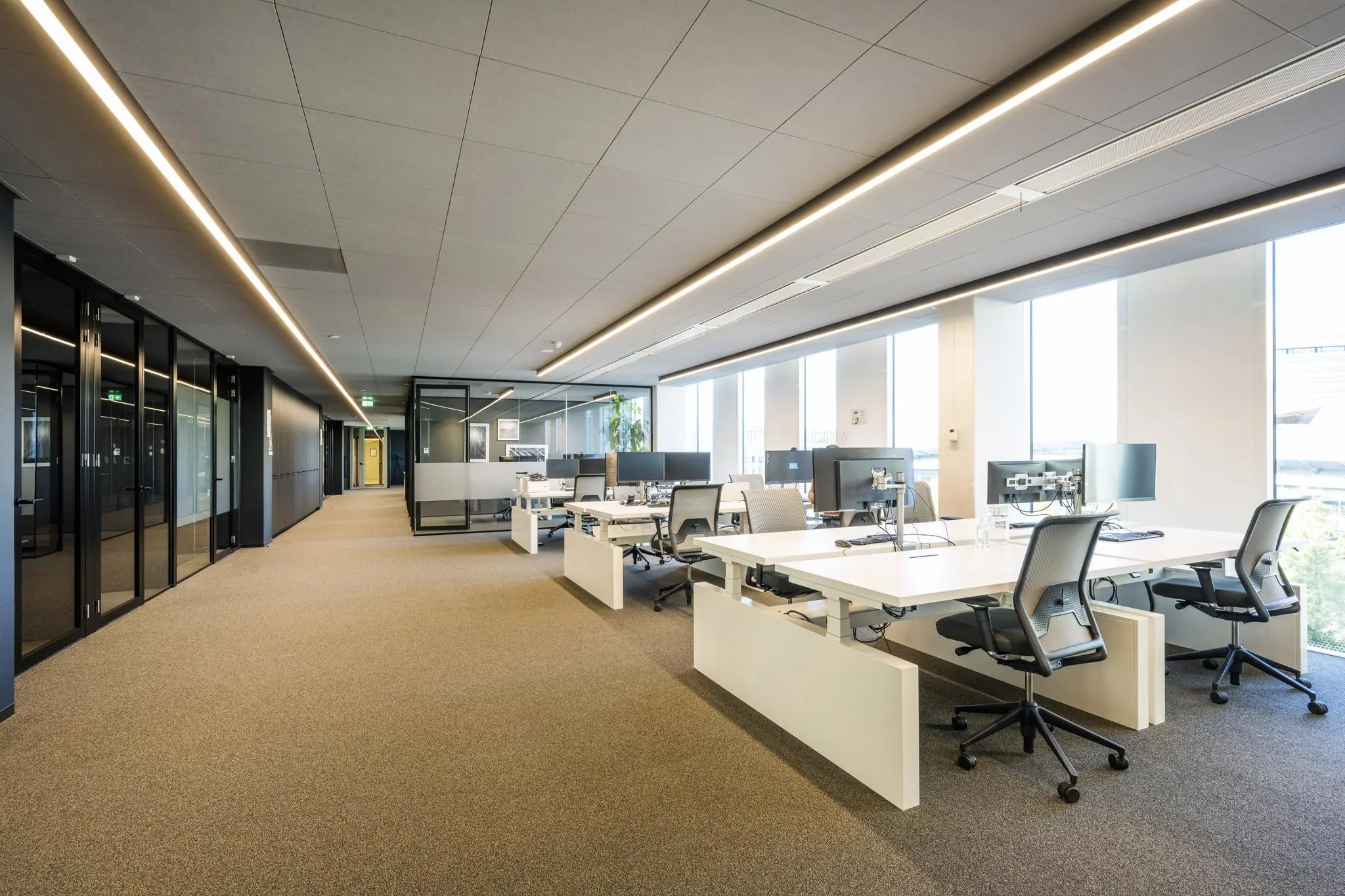 Modern en licht kantoorinterieur in Hoekenrode met open werkplekken en glazen vergaderruimtes.