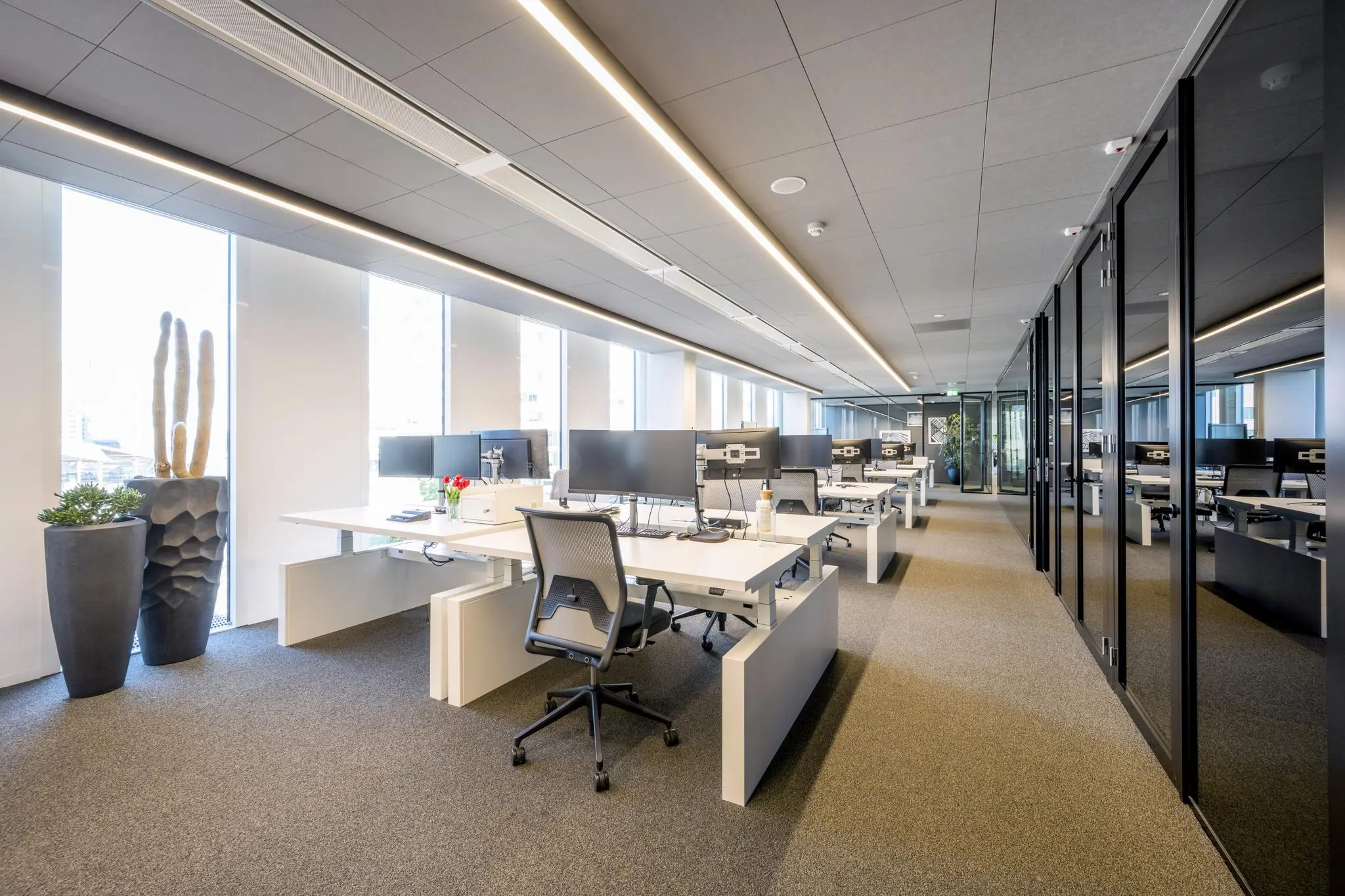 Modern en licht open kantoorinterieur in Hoekenrode met werkplekken, ergonomische stoelen en grote ramen.