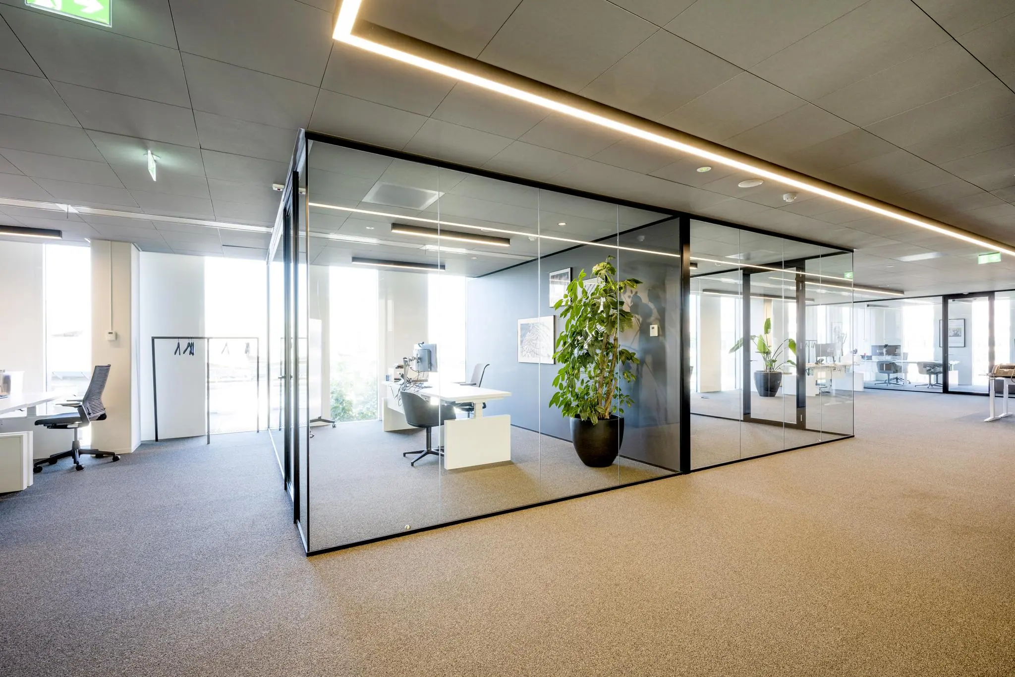 Modern kantoorinterieur in Hoekenrode met glazen vergaderruimtes, strakke bureaus en grote kamerplanten.