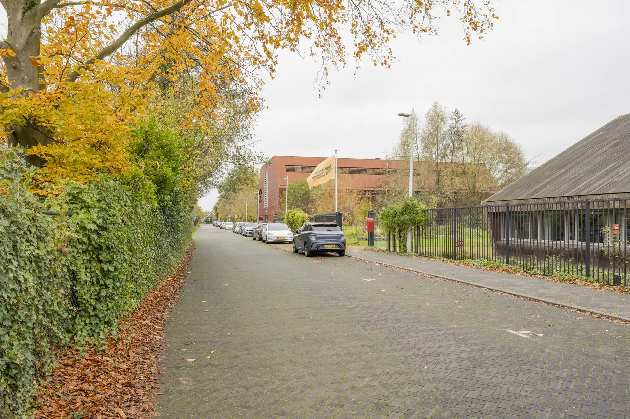 Straatbeeld van de Vogelvlinderweg met geparkeerde auto's, herfstbladeren en het gebouw van het Nederlands Forensisch Instituut.