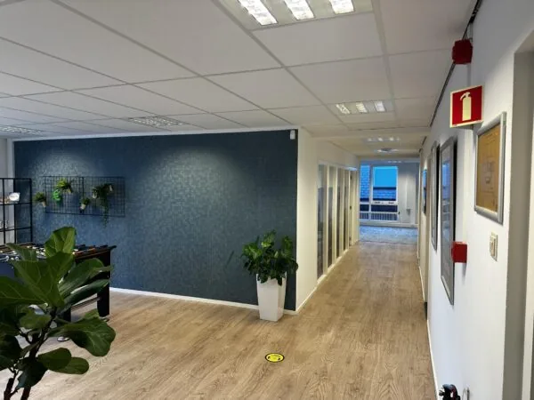 Kantoorinterieur aan de Koninginnegracht met houten vloer, blauwe accentmuur, planten en een gang met kantoorruimtes.