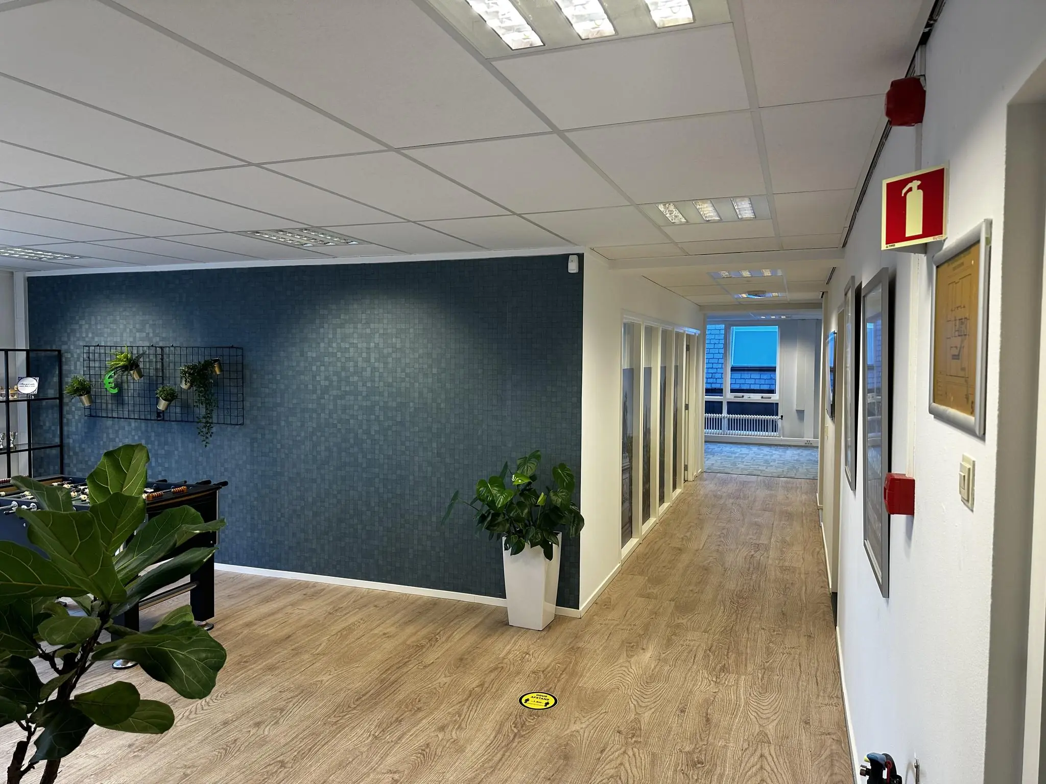 Kantoorinterieur aan de Koninginnegracht met houten vloer, blauwe accentmuur, planten en een gang met kantoorruimtes.