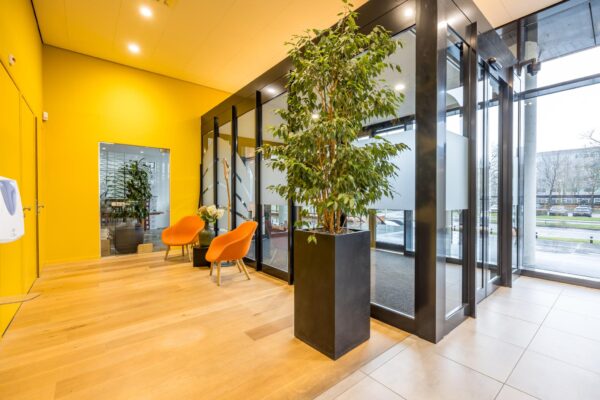 Moderne entreehal aan de Winthontlaan met grote raampartijen, felgele muur, planten en oranje stoelen.