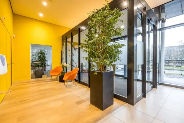 Moderne entreehal aan de Winthontlaan met grote raampartijen, felgele muur, planten en oranje stoelen.