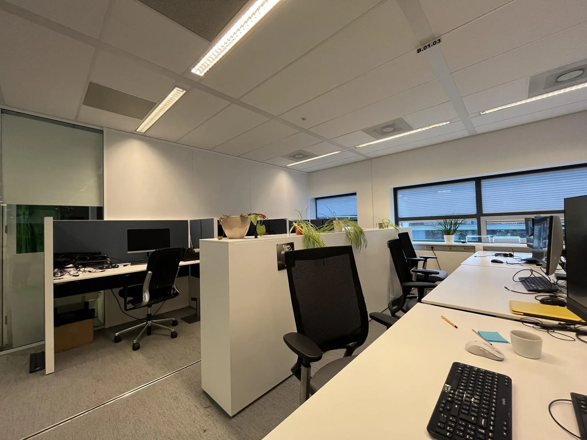 Moderne open kantoorruimte aan het Daalseplein met bureaus, kantoorstoelen, computers en planten.