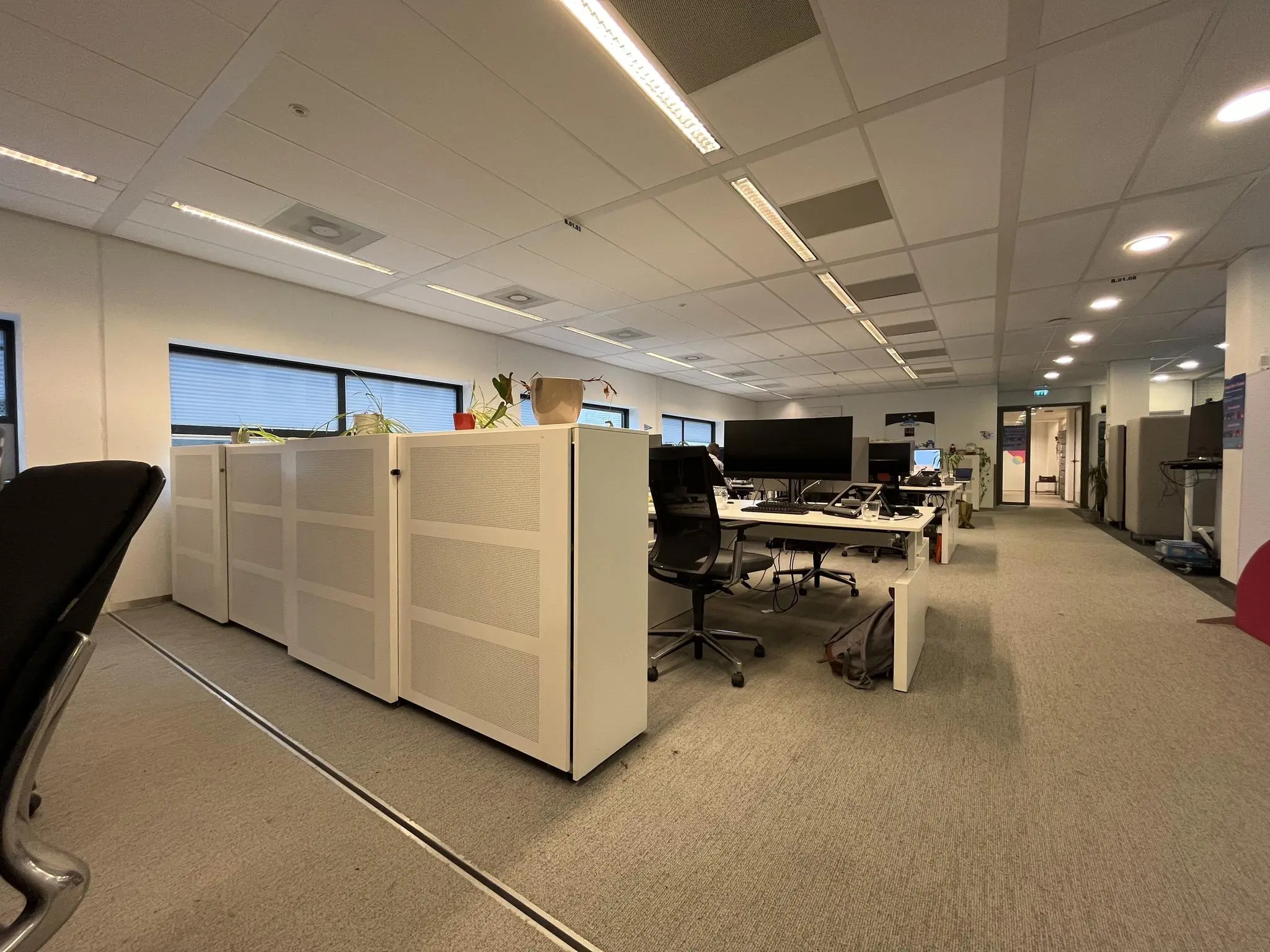 Modern kantoorinterieur aan het Daalseplein met werkplekken, bureaustoelen en planten.